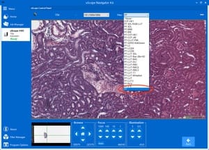 Browse Mode Filter Settings