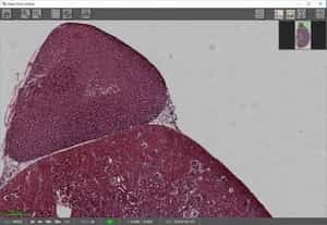 Flatten Background Process — After