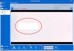 White Areas in Overview Image