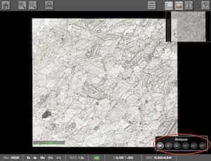 Multi-Angle Deep Zoom Viewer (Brightfield)