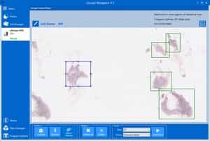 Selecting Multiple Regions
