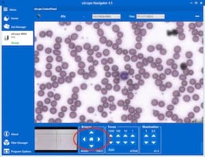 Browser Navigation Buttons
