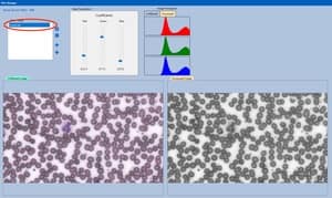 Filter Manager — Grayscale