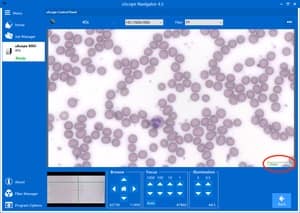 Browse Window — Scale Indicator