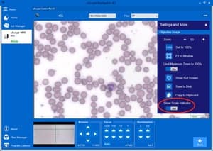 Slide-in Panel — Show Scale Indicator