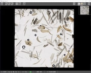 Correctly Output Whole Scan Image