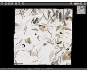 Incorrectly Output Whole Scan Image